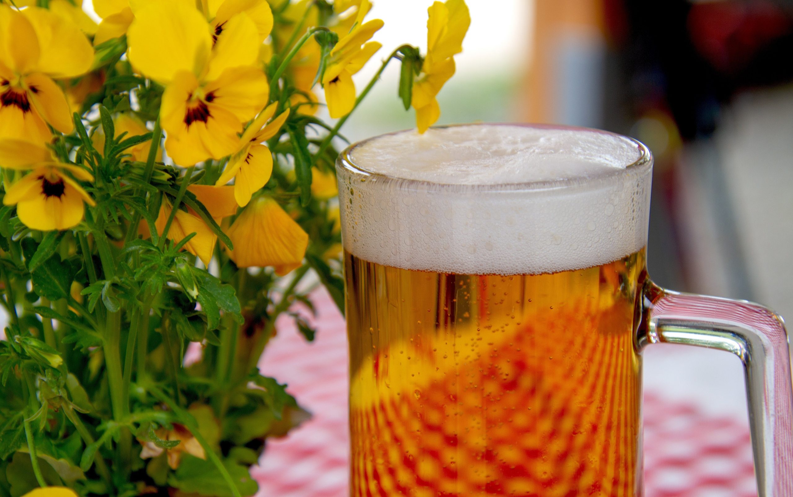Wer braut Discounter-Bier - Biergläser und Bierflaschen im Vergleich