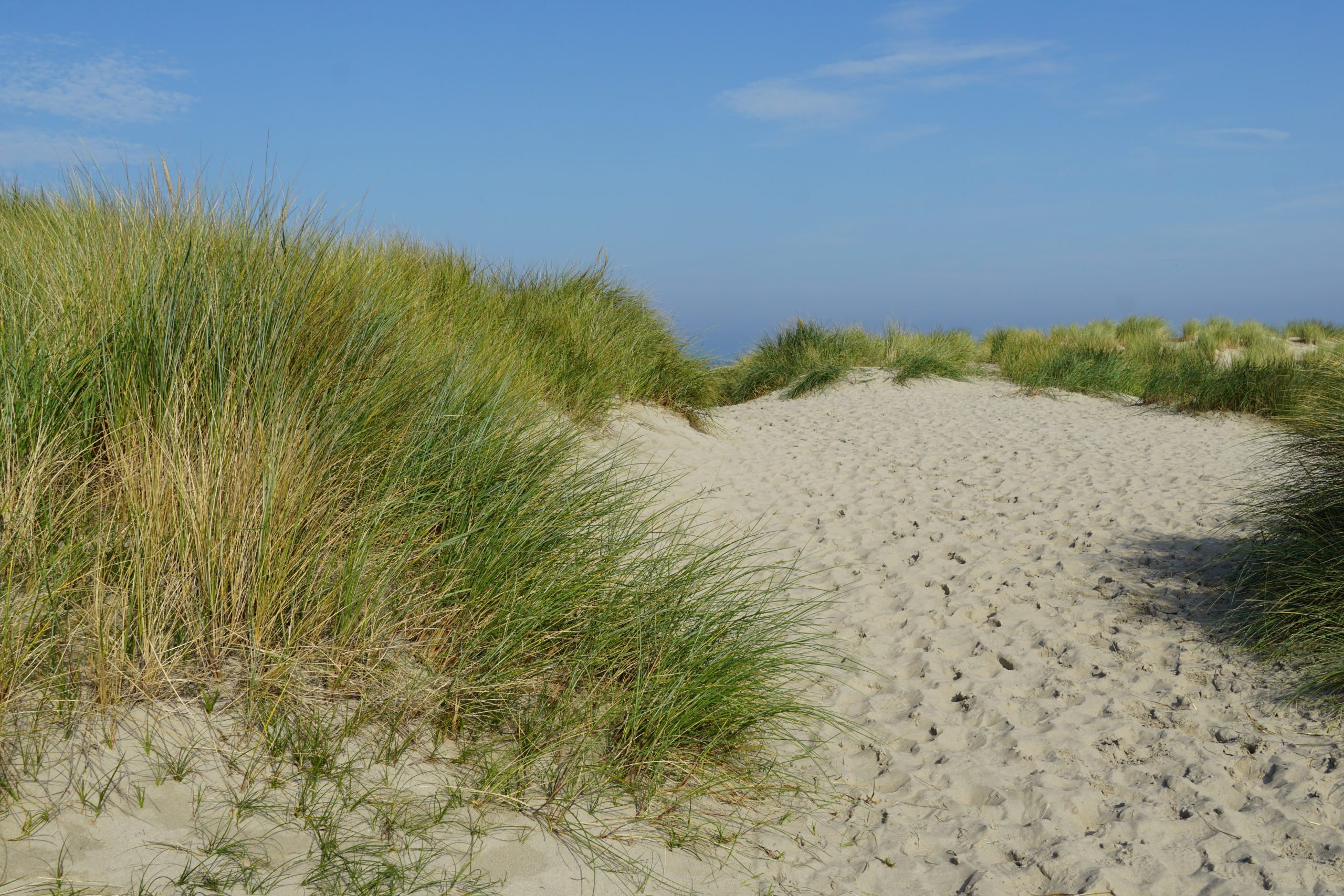 Strand auf Texel, Ziel für Naturfreunde und Besucher der Brauereien auf Texel